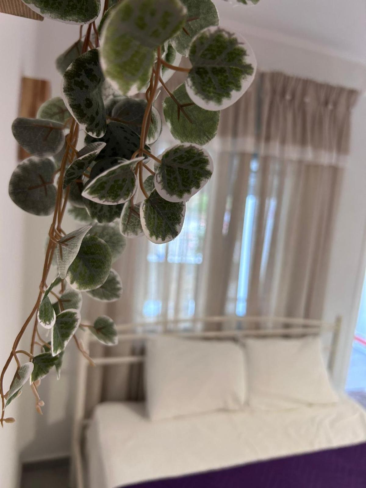 Amaya Pine Rooms Keramoti  Ngoại thất bức ảnh